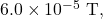 6.0\times10^{-5}~\mathrm{T},