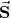 \vec{\mathbf{S}}