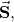 \vec{\mathbf{S}},