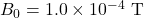 B_0=1.0\times10^{-4}~\mathrm{T}