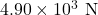 4.90\times10^3~\mathrm{N}