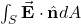\int_S\vec{\mathbf{E}}\cdot\hat{\mathbf{n}}dA
