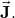 \vec{\mathbf{J}}.
