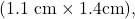 (1.1~\mathrm{cm}\times1.4\mathrm{cm}),