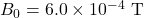B_0=6.0\times10^{-4}~\mathrm{T}