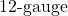 12{\text -}\mathrm{gauge}