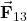\vec{\mathbf{F}}_{13}