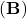 (\mathbf{B})