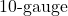 10{\text -}\mathrm{gauge}