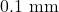 0.1~\mathrm{mm}