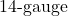 14{\text -}\mathrm{gauge}