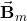 \vec{\mathbf{B}}_m