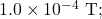 1.0\times10^{-4}~\mathrm{T};