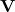 \mathbf{V}