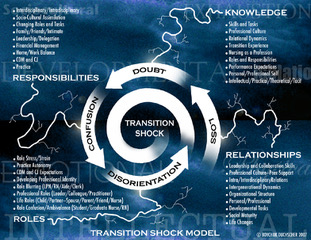 transition shock, responsibilities, role, knowledge, relationships
