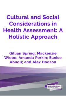 Cultural and Social Considerations in Health Assessment: A Holistic Approach book cover