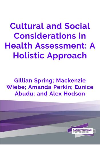Cover image for Cultural and Social Considerations in Health Assessment: A Holistic Approach