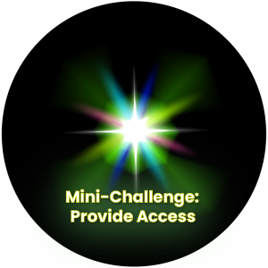 Mini Challenge: Provide Access
