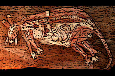 Cover image for Communication Systems in the Animal Body