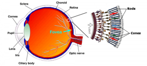 eyediagram