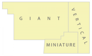 polygonlabelstates