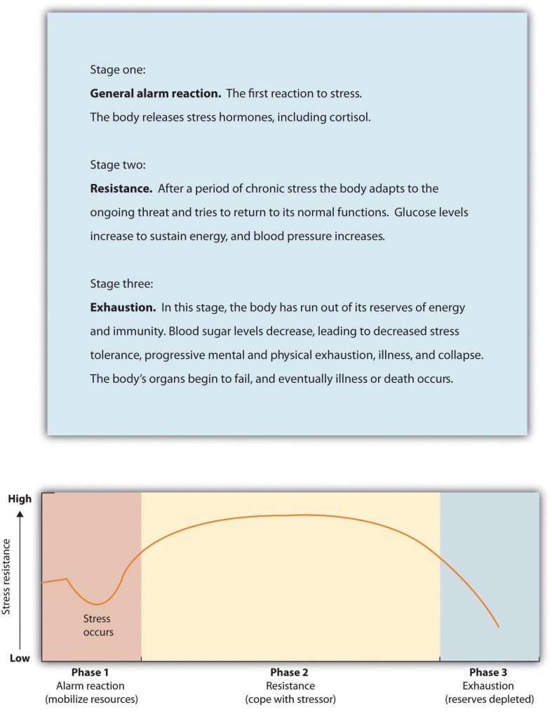 General Adaptation Syndrome. Long description available.