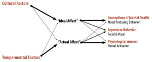 Diagram of the Affect Valuation Theory indicating that cultural factors have a higher influence on a person's ideal affect and temperamental factors have a higher influence on a person's actual affect.