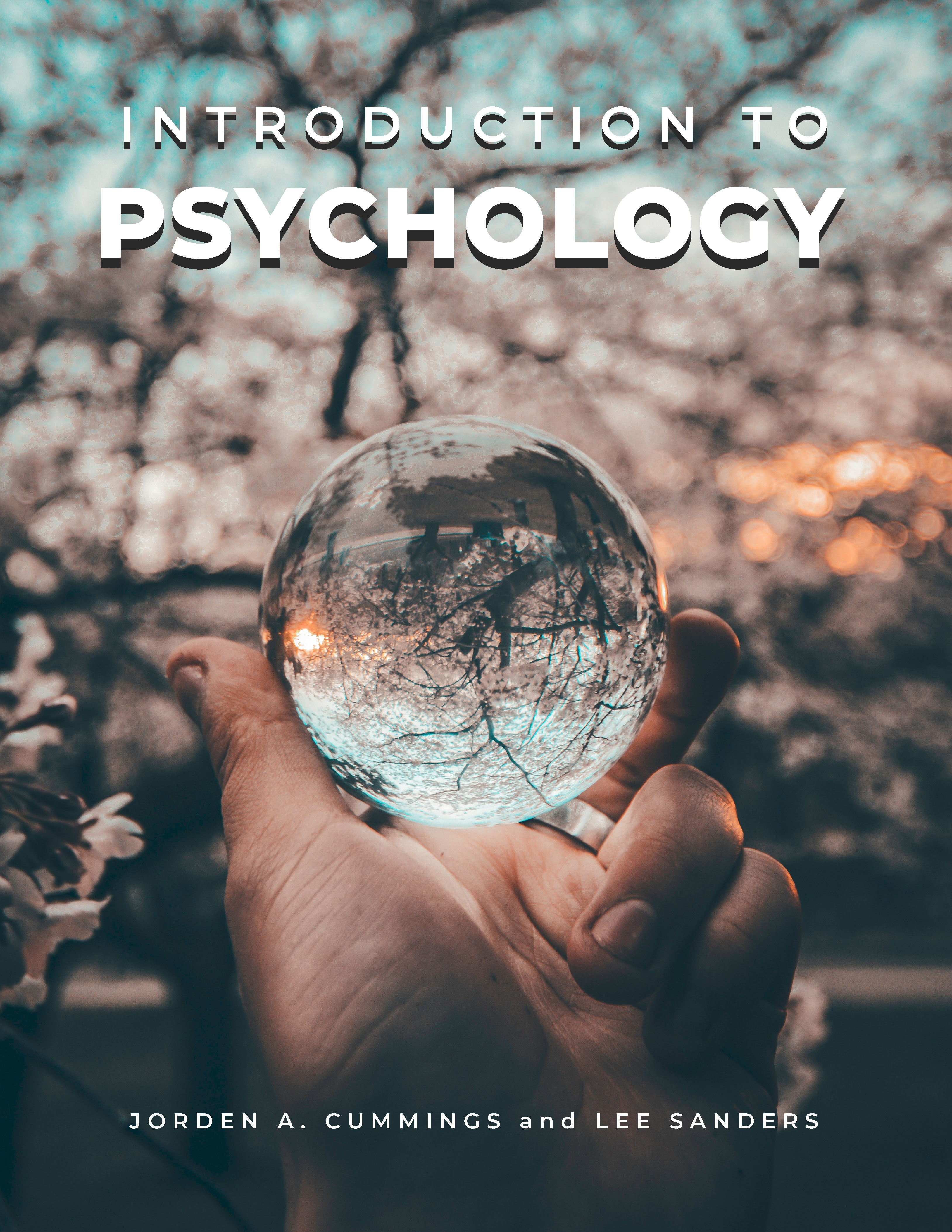 Cover image for Introduction to Psychology