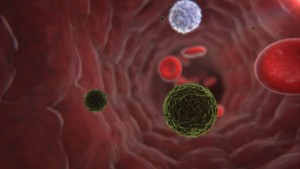 Red blood cells travelling through blood vessels