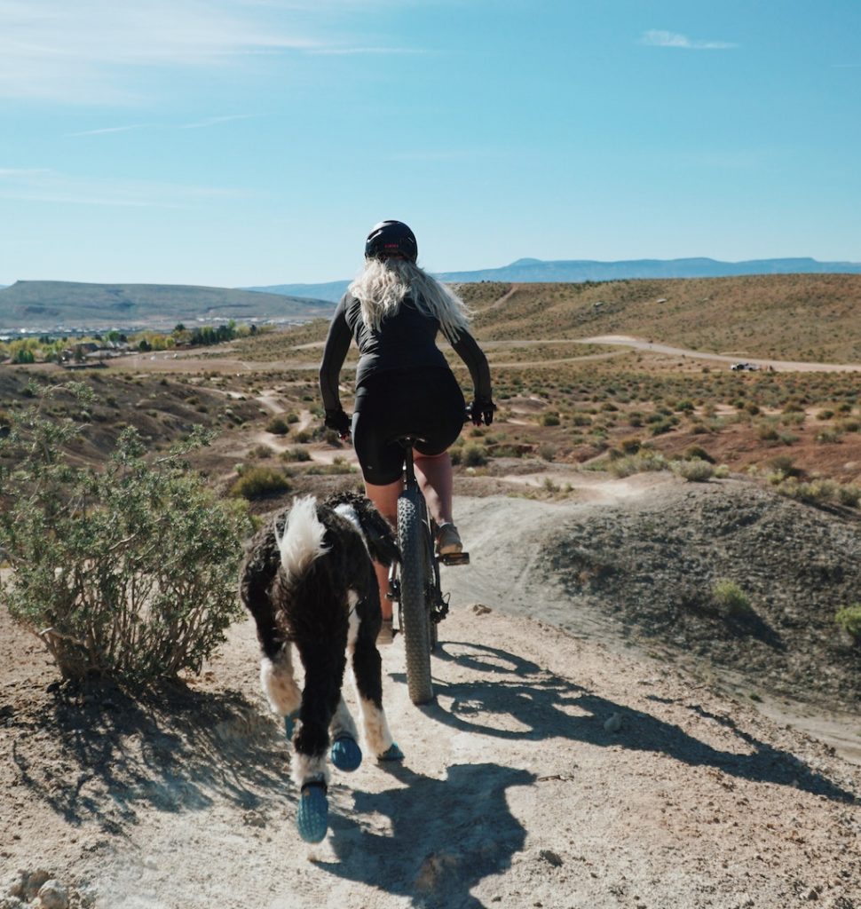 Mountain biker cycling with a dog in an arid region.