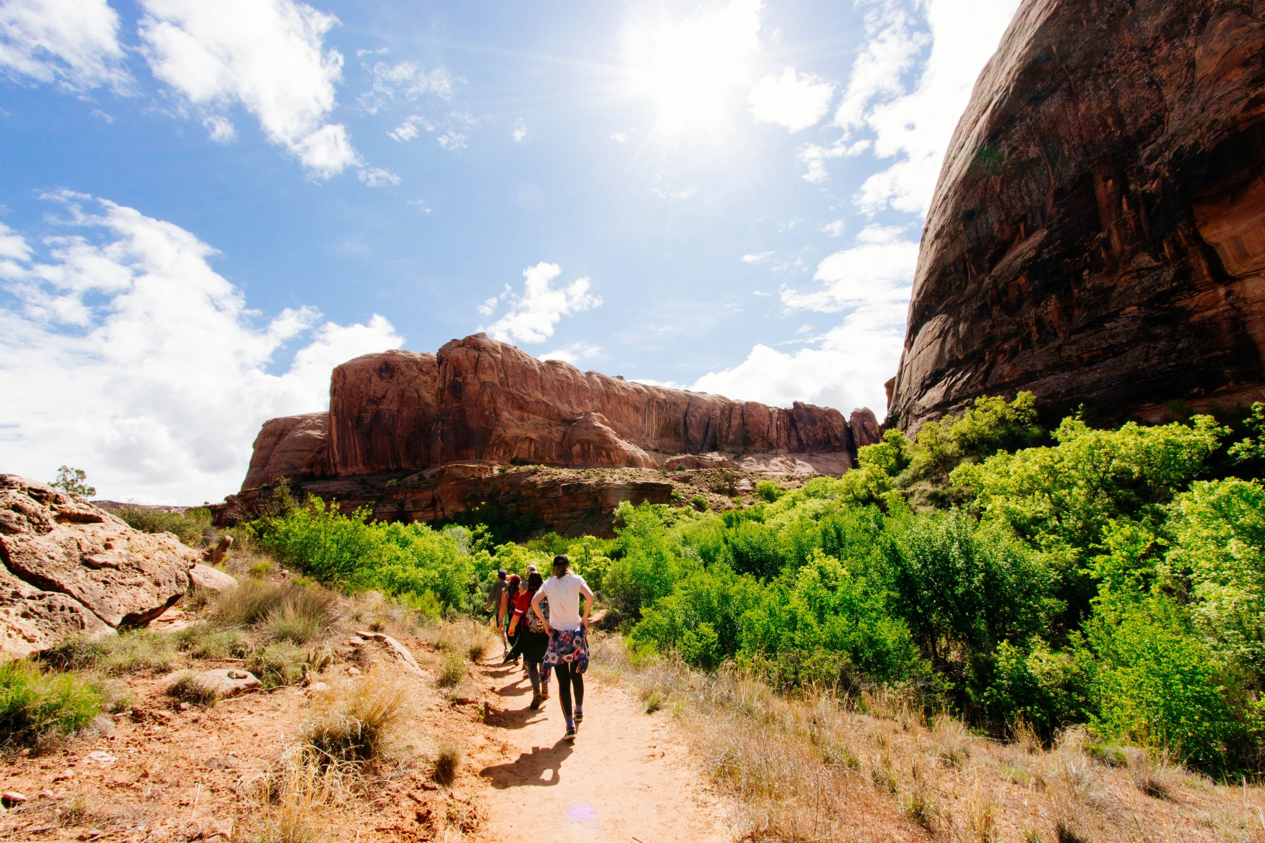 Several hikers on a trail.