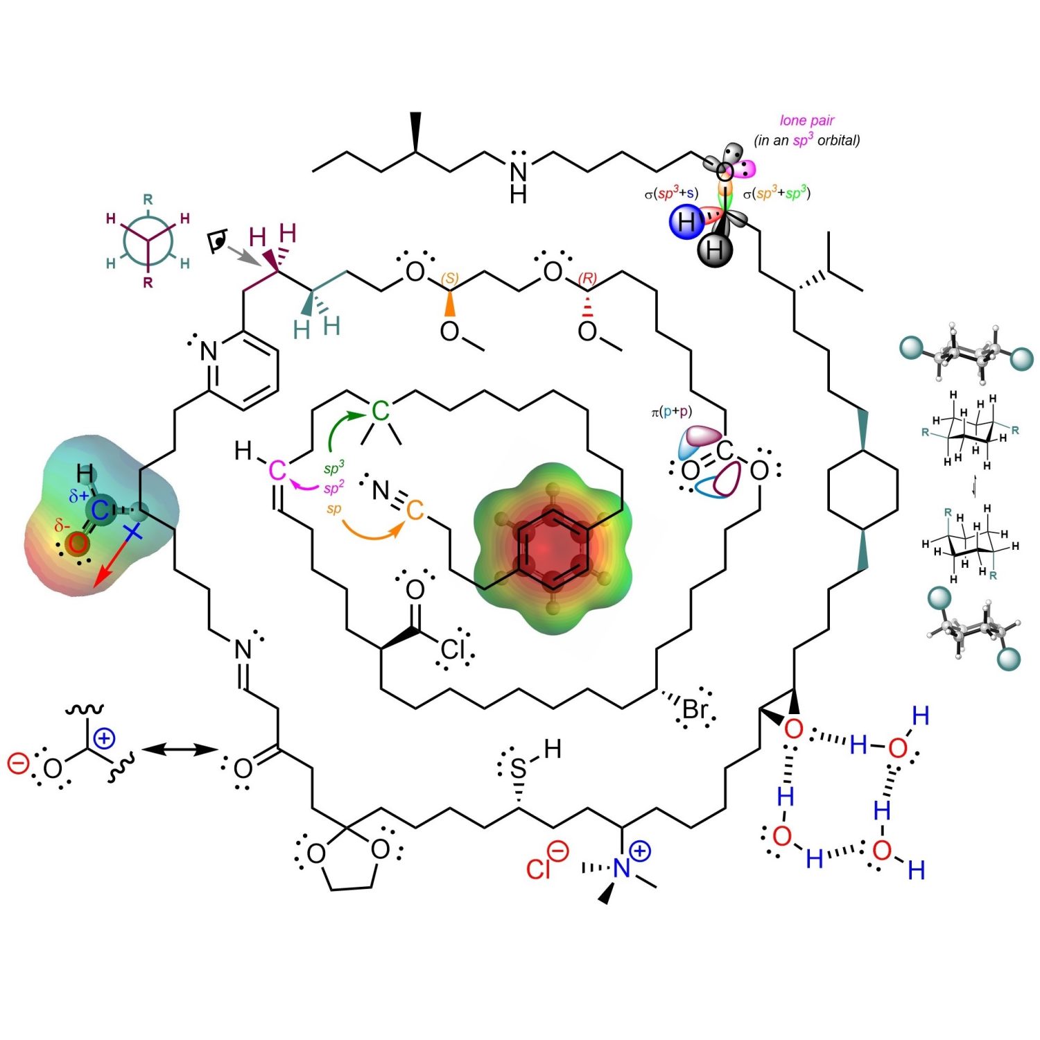 Cover image for Introduction to Organic Chemistry