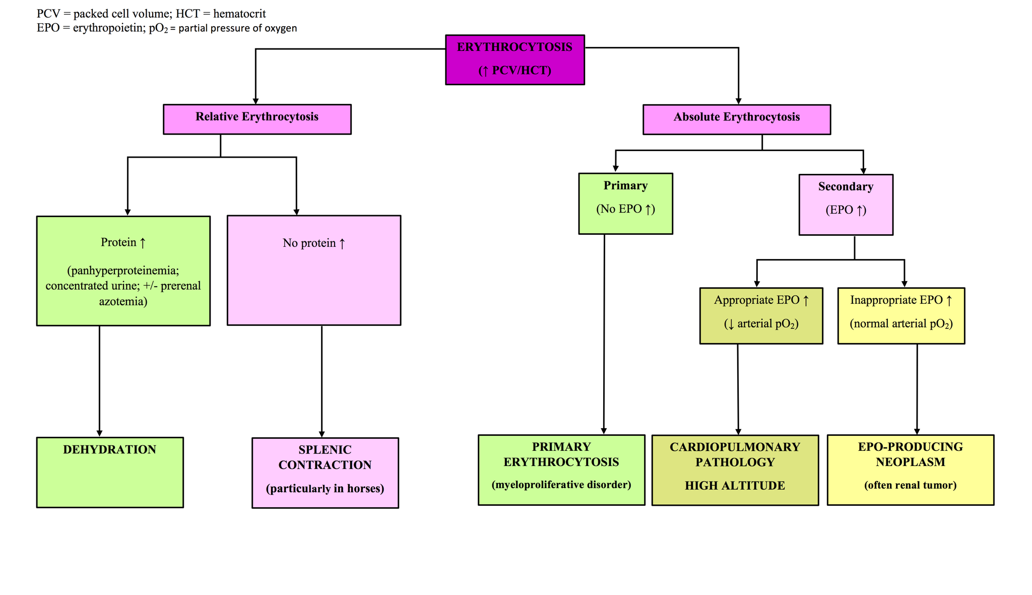 Figure 1.32 Algorithm for determining the cause of erythrocytosis.