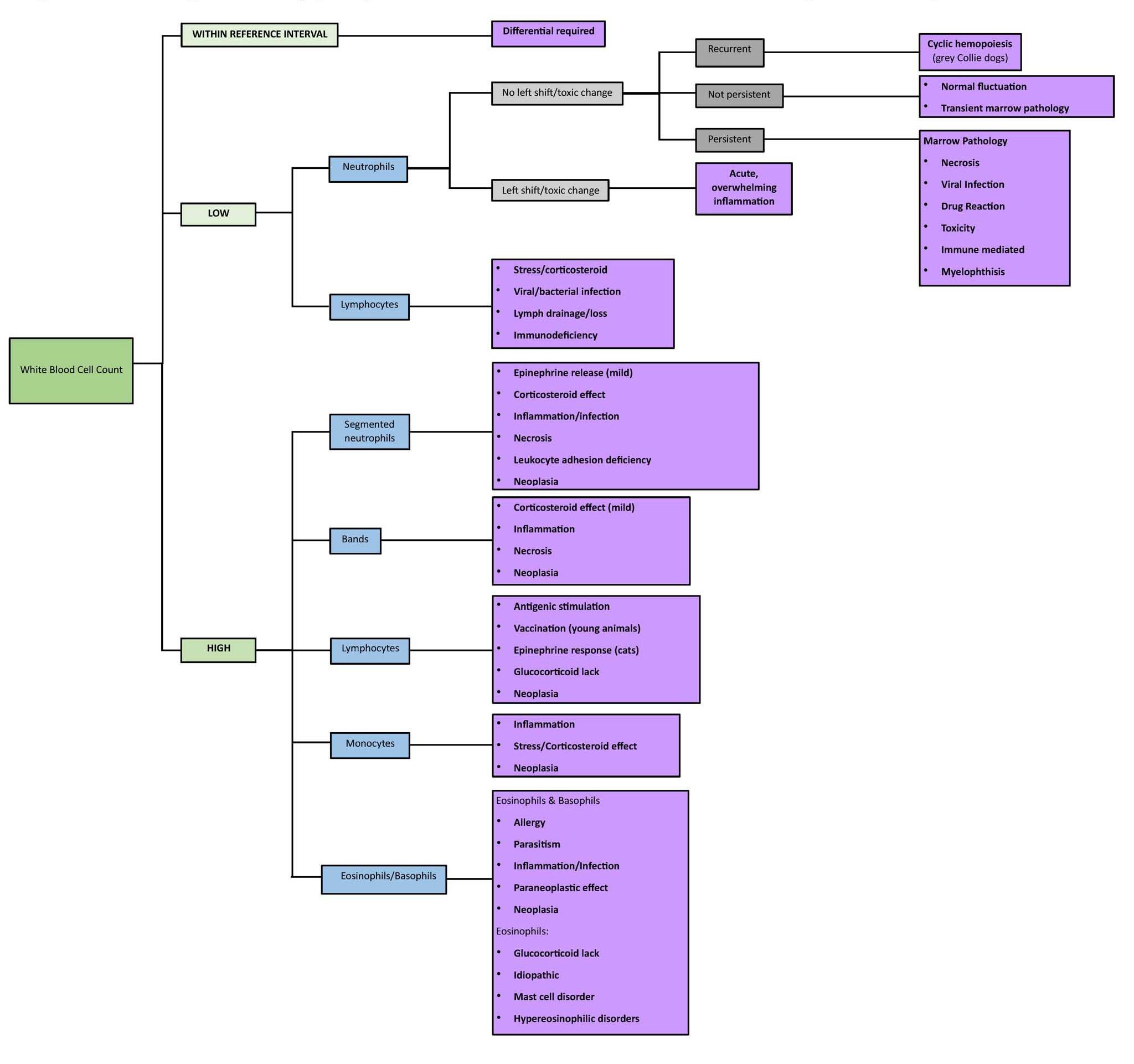 Figure 2.14 Algorithm of peripheral blood abnormalities according to leukocyte counts.