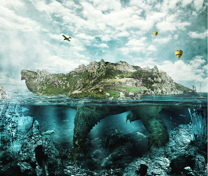 Image of turtle island