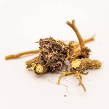 Seneca root
