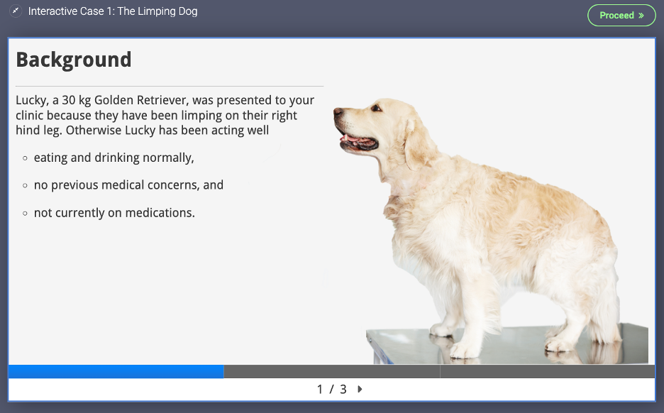 An image of a golden retriever named Lucky: Background Lucky, a 30 kg Golden Retriever, was presented to your clinic because they have been limping on their right hind leg. Otherwise Lucky has been acting well • eating and drinking normally, • no previous medical concerns, and • not currently on medications.