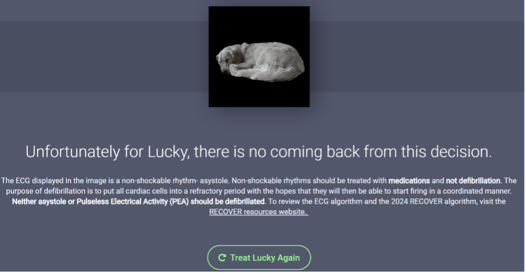 The screenshot shows a curled up dog, likely deceased. Text below reads: Unfortunately for Lucky, there is no coming back from this decision.The ECG displayed in the image is a non-shockable rhythm- asystole. Non-shockable rhythms should be treated with medications and not defibrillation. The purpose of defibrillation is to put all cardiac cells into a refractory period with the hopes that they will then be able to start firing in a coordinated manner. Neither asystole or Pulseless Electrical Activity (PEA) should be defibrillated.