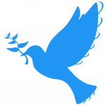 This picture shows a dove with a twig in its beak, which is to represent the topic of the chapter concerned with the management of behavioural issues and conflict in the online classroom.