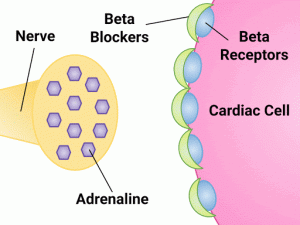 "Mechanism of Action" by Dominic Slausen at Chippewa Valley Technical College is licensed under CC BY 4.0 Image showing mechanism of action with with labels