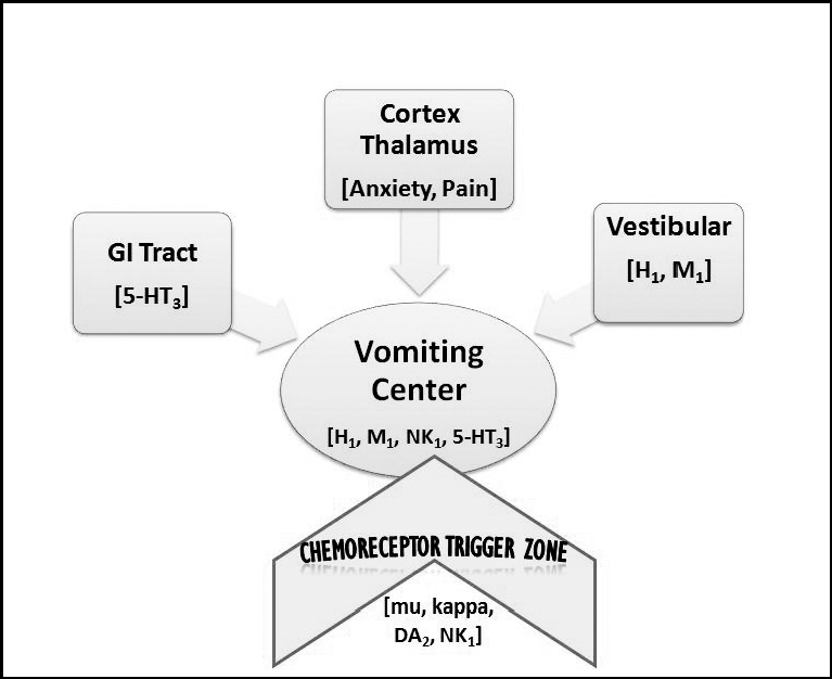 Becker D. E. (2010). Nausea, vomiting, and hiccups: a review of mechanisms and treatment. Anesthesia progress, 57(4), 150–157. doi:10.2344/0003-3006-57.4.150 Chart showing pathophysiology of nausea and vomiting