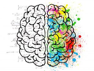 "RightBrainDominant.jpg" by ElisaRiva is licensed under CC0 Illustration showing psychological division of the cerebral brain hemispheres.