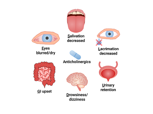 ""SLUDGE" effects of Anticholinergics" by Chippewa Valley Technical College is licensed under CC BY 4.0 Images showing effects of Anticholinergics on organs.