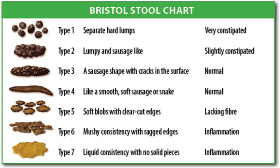 "BristolStoolChart.png" by Cabot Health, Bristol Stool Chart is licensed under CC BY-SA 3.0 Image showing Bristol Stool Chart