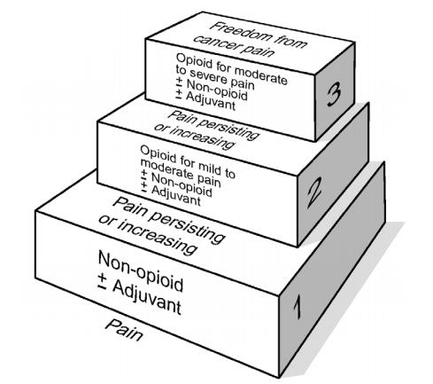 World Health Organization. Cancer pain relief. 2nd ed. Geneva: WHO; 1996. Image of The World Health Organization's Pain Ladder