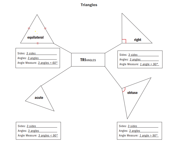 graphic organizer