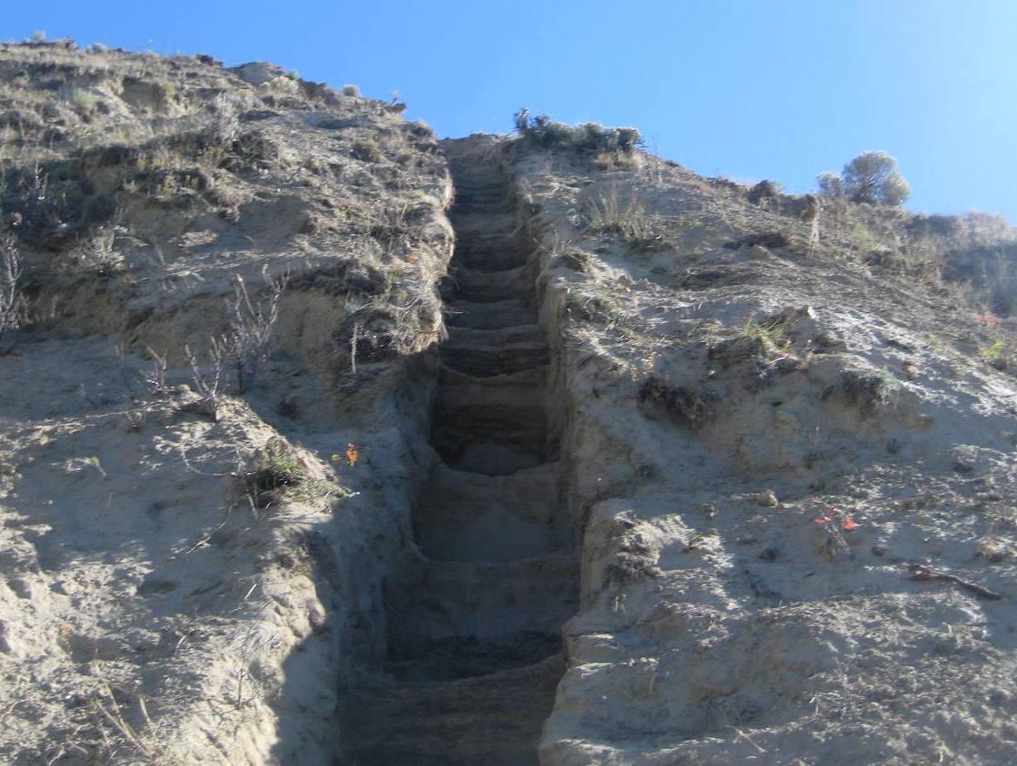 step dug into the sediments to uncover and analize Eastend Formation