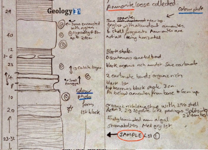 Image from a field notebook showing how to organize the data collected in the field.