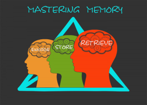Mastering Memory: Encode, store, retrieve