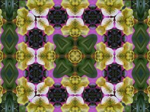 kaleidoscope